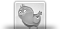 Twitter Page
